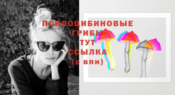 соль ск Бородино