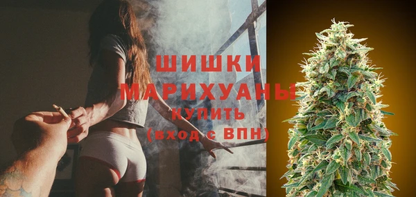 гашик Бронницы