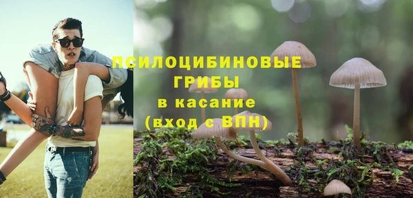 соль ск Бородино