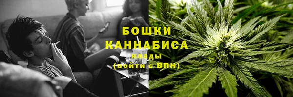 соль ск Бородино