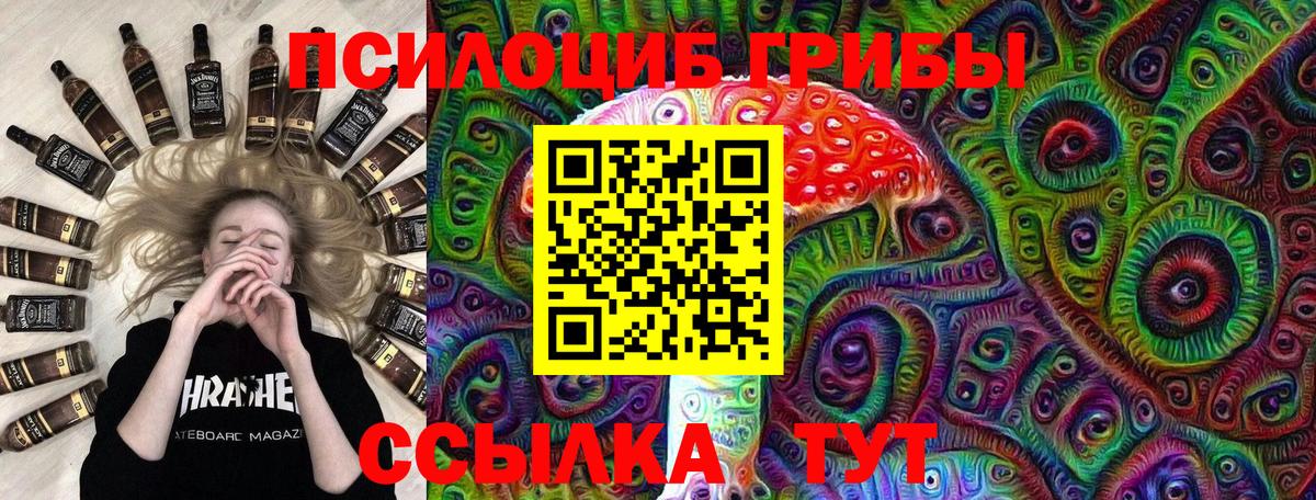 Воткинск  Галлюциногенные грибы Psilocybine cubensis  Вход с VPN 